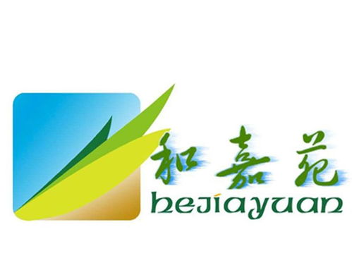 和嘉苑第29類食品商標(biāo)注冊信息與狀態(tài)查詢指南